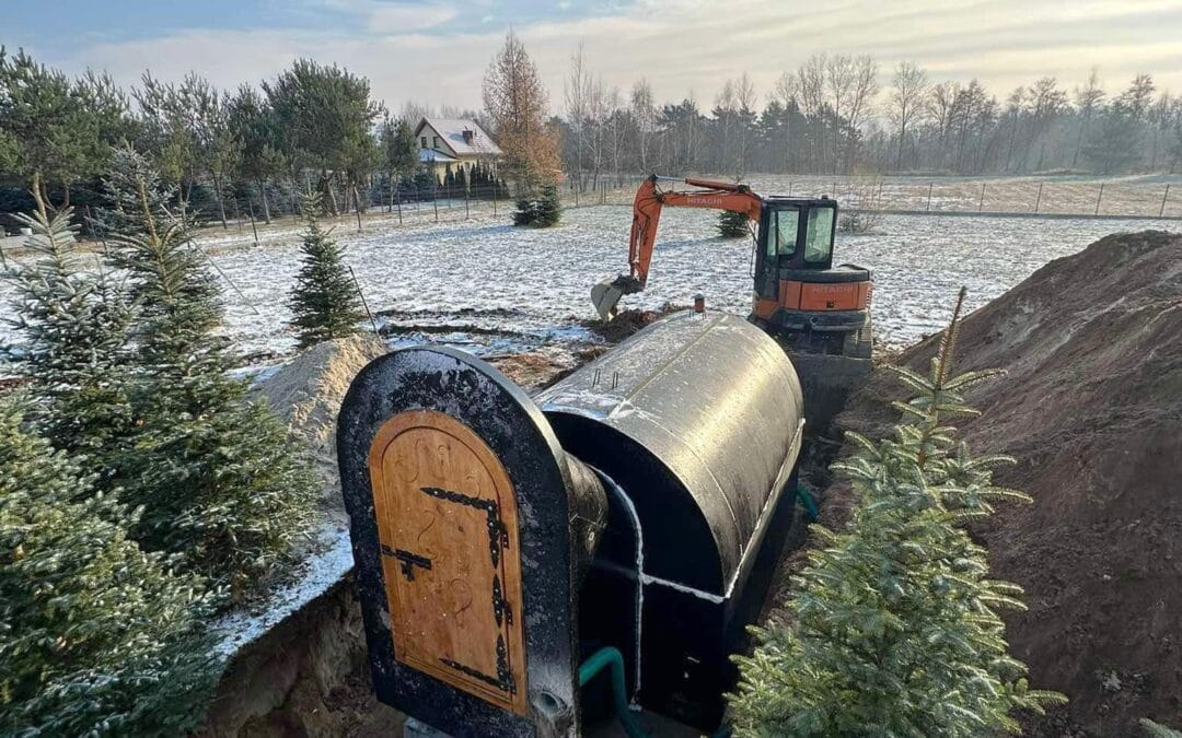 ziemianka holenderska